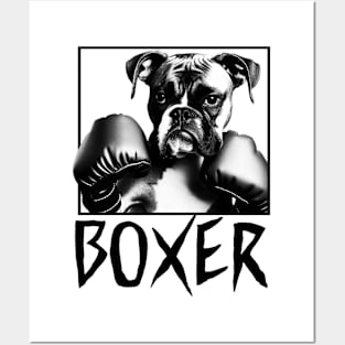 Boxer Dog - 4 Posters and Art